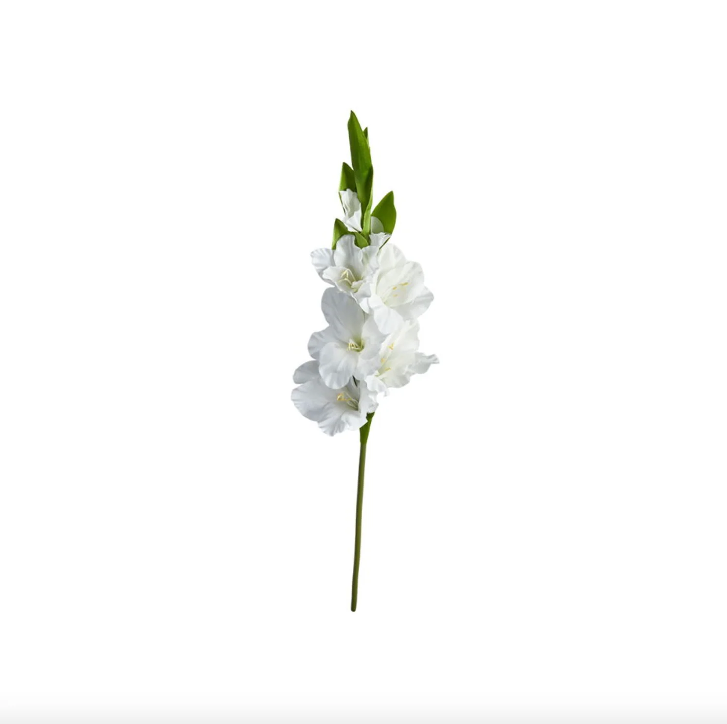 Miniaturebillede 10