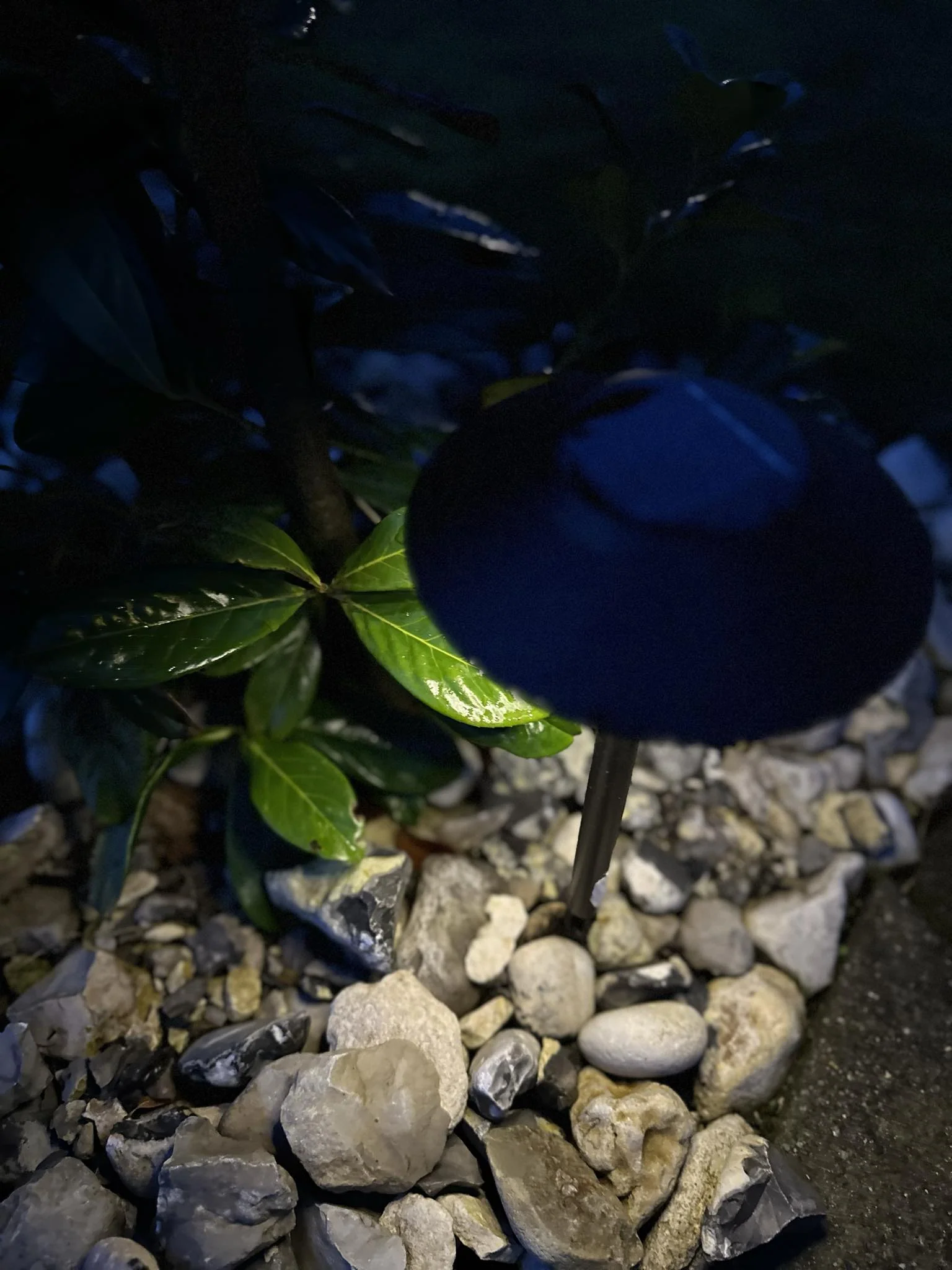 Miniaturebillede 12