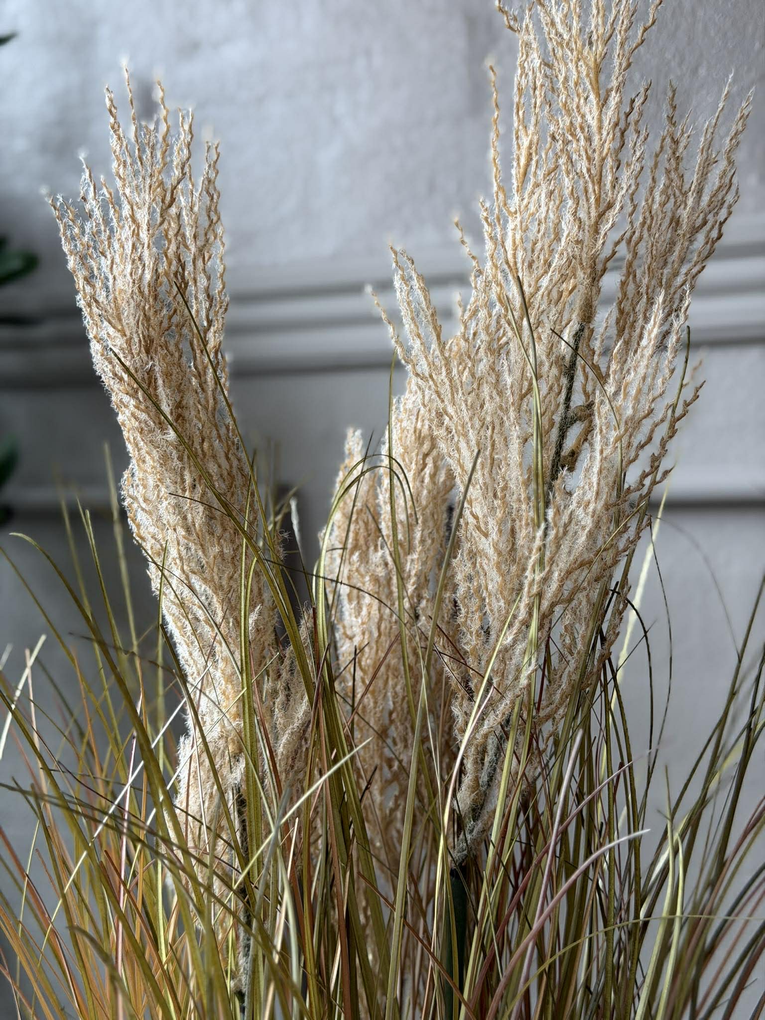 Miniaturebillede 6