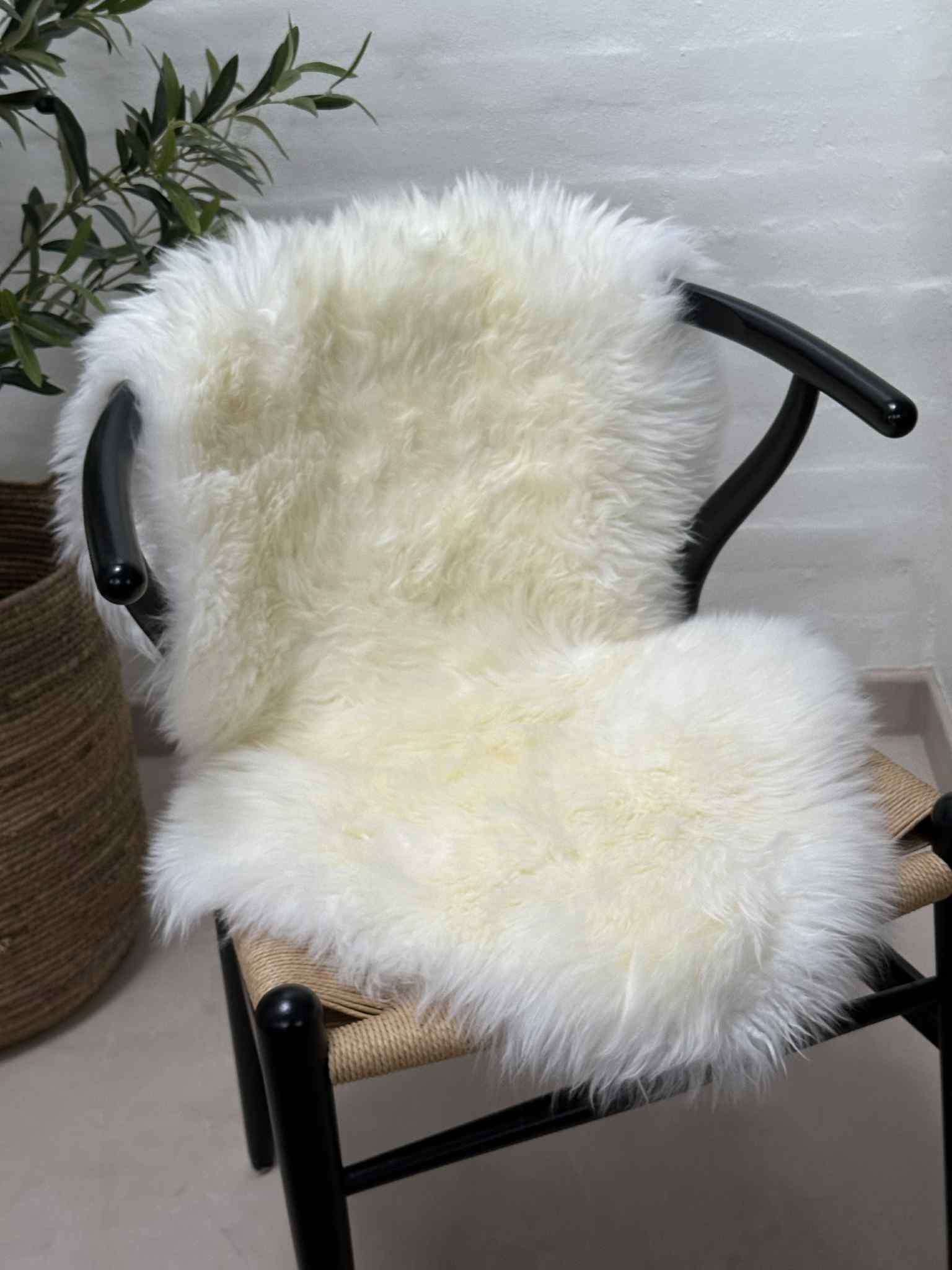 Miniaturebillede 3