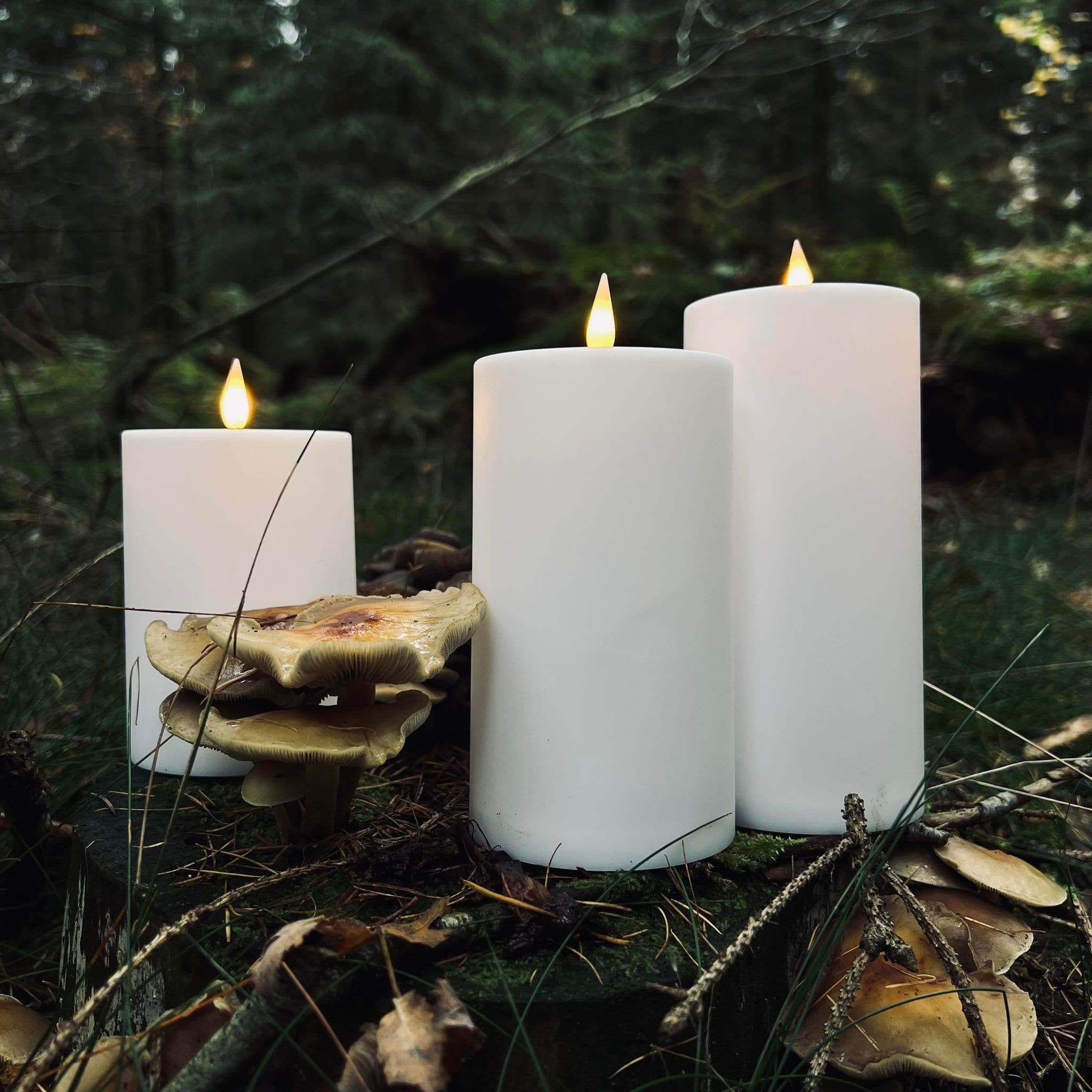 Miniaturebillede 8