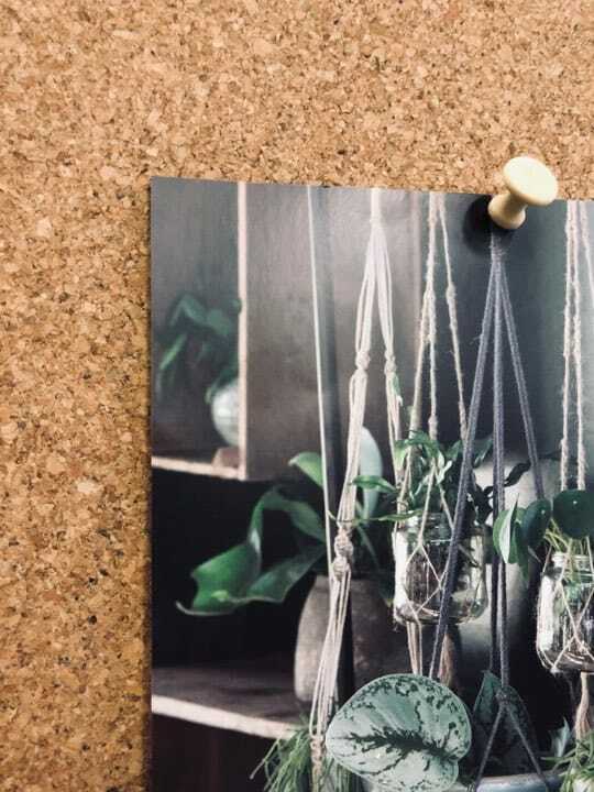 Miniaturebillede 2
