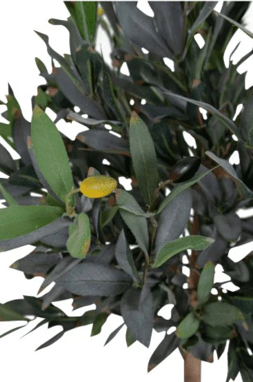 Miniaturebillede 2