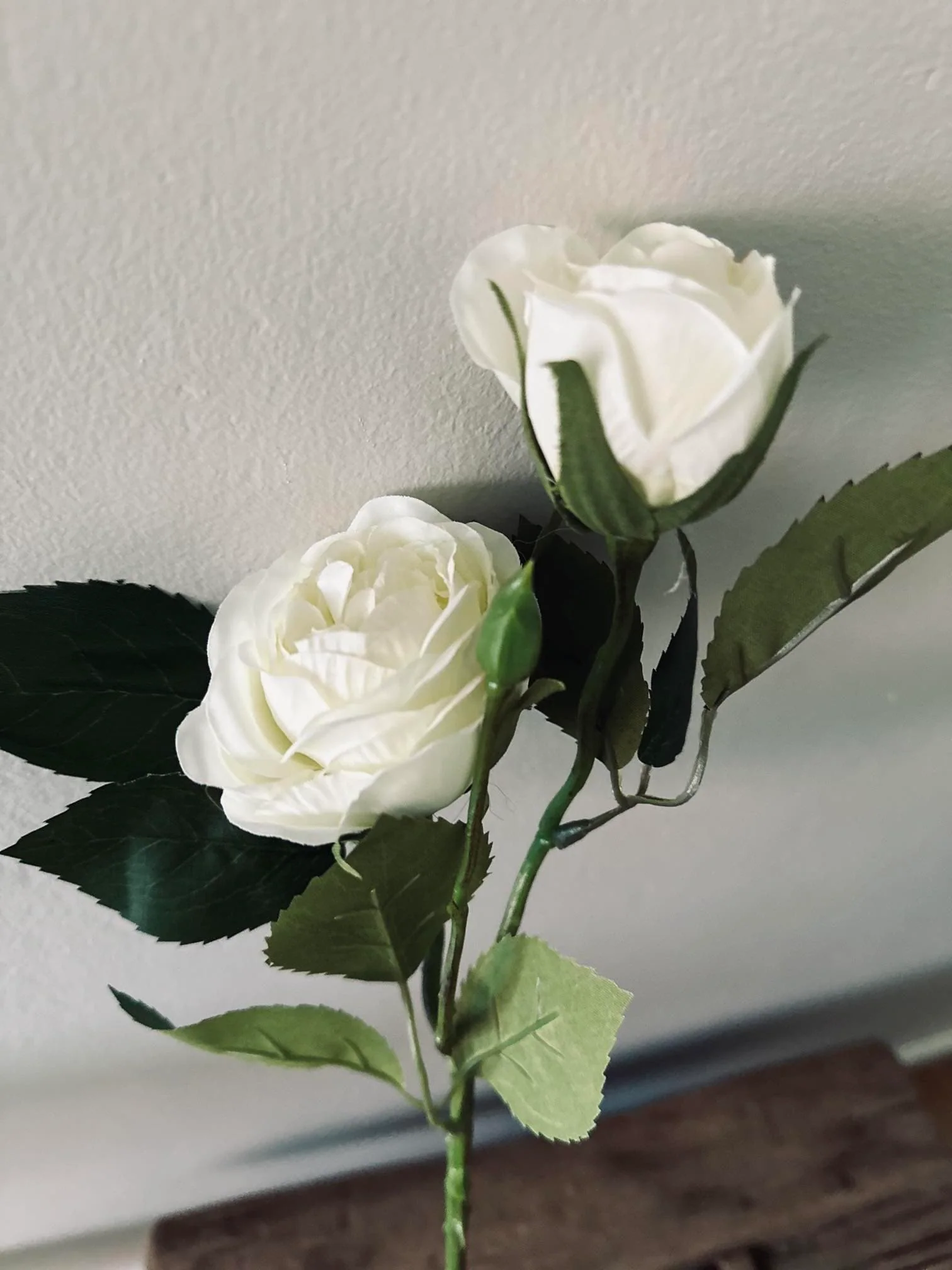 Miniaturebillede 5