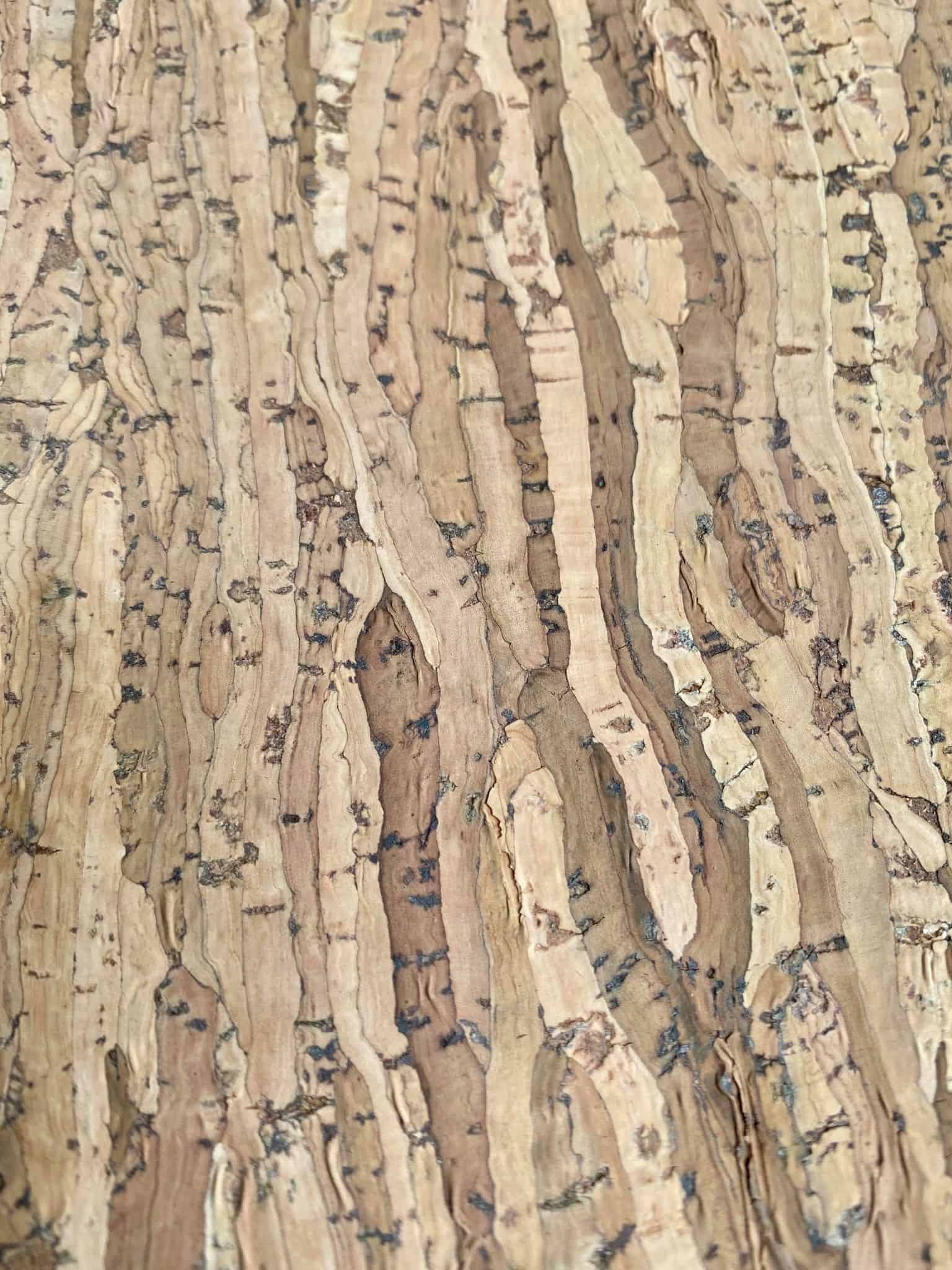Miniaturebillede 2
