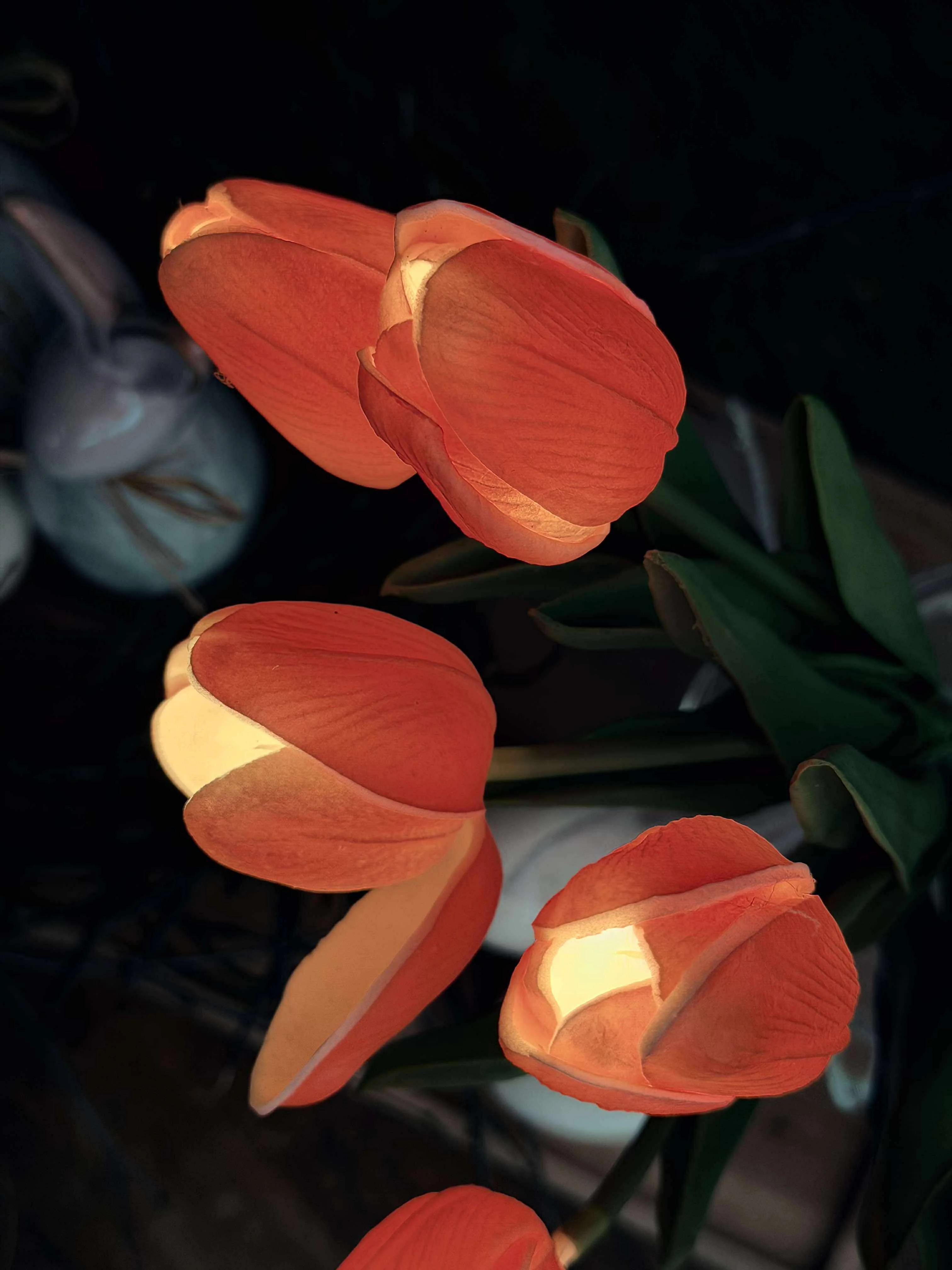 Miniaturebillede 3